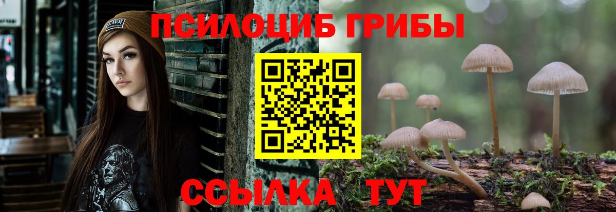 Грязи  Галлюциногенные грибы Cubensis  Вход с VPN 